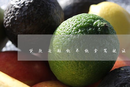 贷款逾期能不能拿驾驶证 贷款逾期能不能拿驾驶证