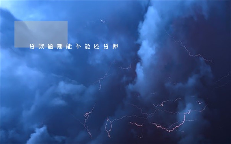 贷款逾期能不能还贷押 贷款逾期能不能还贷押