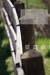 贷款逾期能买车票吗 贷款逾期能买车票吗
