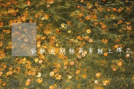 贷款逾期能买车能上牌不