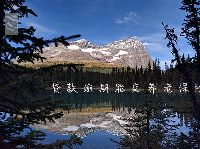 贷款逾期能交养老保险吗 贷款逾期能交养老保险吗
