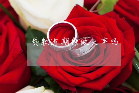 贷款逾期能做火车吗 贷款逾期能做火车吗