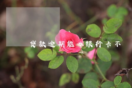 贷款逾期能办银行卡不 贷款逾期能办银行卡不