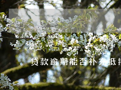 贷款逾期能否补充抵押登记 贷款逾期能否补充抵押登记