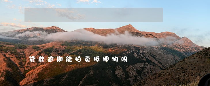 贷款逾期能拍卖抵押物吗 贷款逾期能拍卖抵押物吗