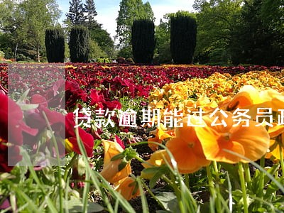 贷款逾期能过公务员政审吗