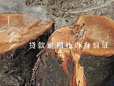 贷款逾期补办身份证 贷款逾期补办身份证