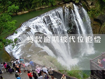 贷款逾期被代位追偿 贷款逾期被代位追偿