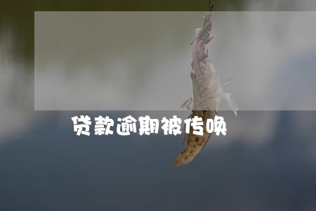 贷款逾期被传唤 贷款逾期被传唤