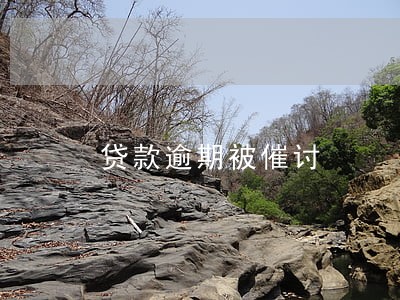 贷款逾期被催讨 贷款逾期被催讨