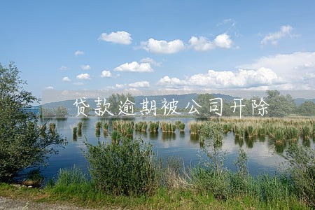 贷款逾期被公司开除 贷款逾期被公司开除
