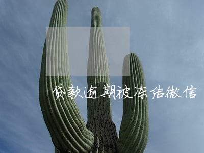 贷款逾期被冻结微信 贷款逾期被冻结微信