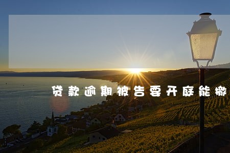 贷款逾期被告要开庭能撤诉 贷款逾期被告要开庭能撤诉