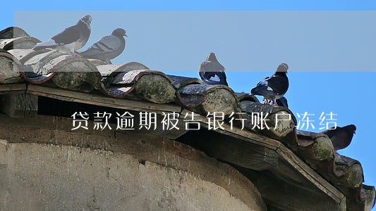 贷款逾期被告银行账户冻结