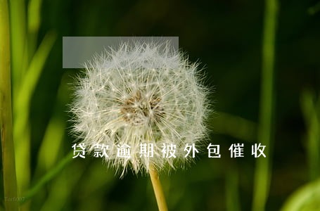 贷款逾期被外包催收 贷款逾期被外包催收