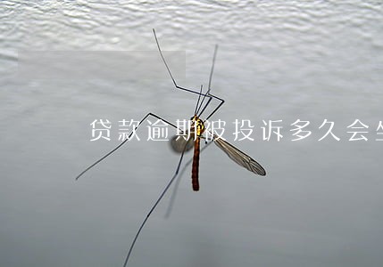 贷款逾期被投诉多久会坐牢 贷款逾期被投诉多久会坐牢