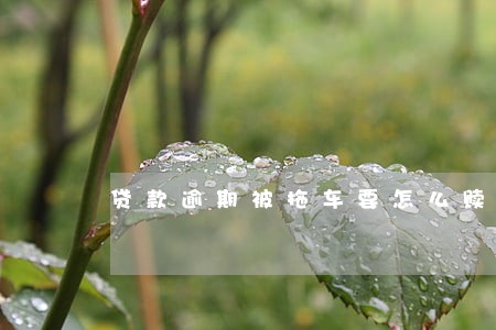 贷款逾期被拖车要怎么赎回