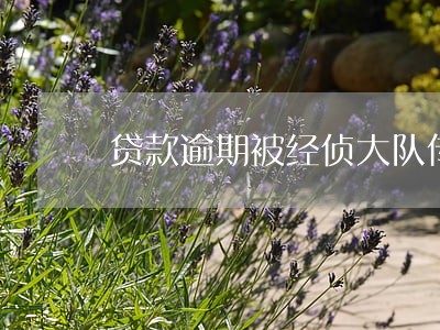 贷款逾期被经侦大队传唤 贷款逾期被经侦大队传唤