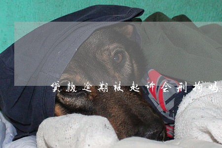 贷款逾期被起诉会刑拘吗 贷款逾期被起诉会刑拘吗