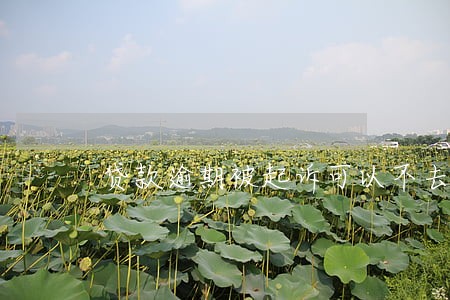 贷款逾期被起诉可以不去吗 贷款逾期被起诉可以不去吗