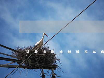 贷款逾期被起诉可以撤诉吗 贷款逾期被起诉可以撤诉吗