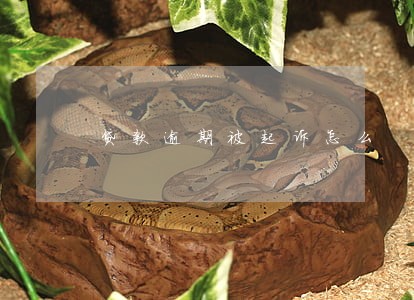 贷款逾期被起诉怎么 贷款逾期被起诉怎么