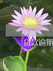 贷款逾期被起诉执行 贷款逾期被起诉执行