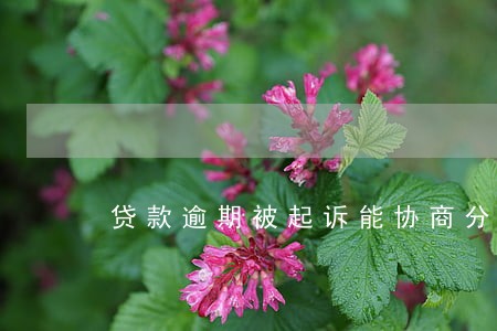 贷款逾期被起诉能协商分期嘛 贷款逾期被起诉能协商分期嘛