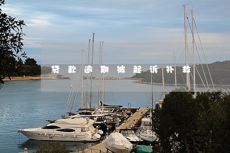 贷款逾期被起诉补救 贷款逾期被起诉补救