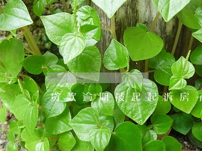 贷款逾期被起起诉房子查封 贷款逾期被起起诉房子查封