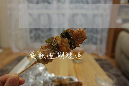 贷款逾期被追 贷款逾期被追