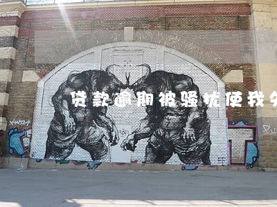 贷款逾期被骚扰使我失去工作 贷款逾期被骚扰使我失去工作