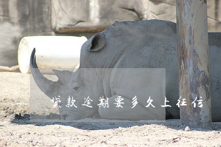 贷款逾期要多久上征信 贷款逾期要多久上征信