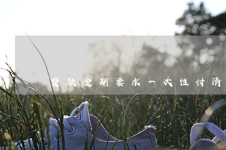 贷款逾期要求一次性付清 贷款逾期要求一次性付清