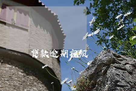 贷款逾期视频 贷款逾期视频