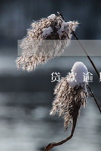 贷款逾期解绑后果 贷款逾期解绑后果