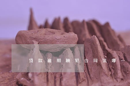 贷款逾期触犯合同法哪一条 贷款逾期触犯合同法哪一条