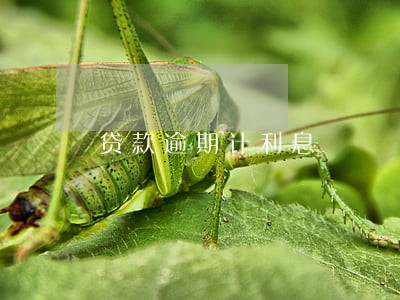 贷款逾期计利息 贷款逾期计利息