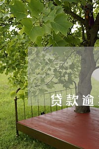 贷款逾期认定 贷款逾期认定