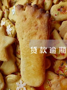 贷款逾期记录5次 贷款逾期记录5次
