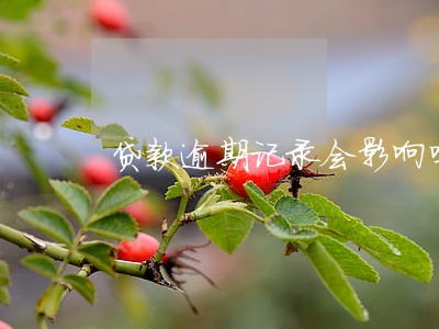 贷款逾期记录会影响吗 贷款逾期记录会影响吗