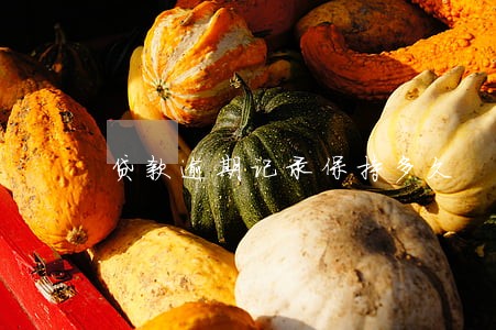 贷款逾期记录保持多久 贷款逾期记录保持多久