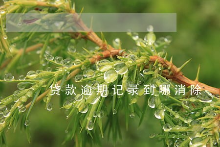 贷款逾期记录到哪消除 贷款逾期记录到哪消除