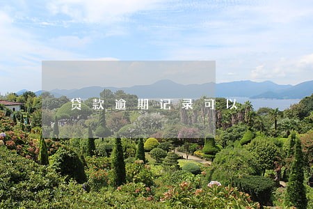 贷款逾期记录可以
