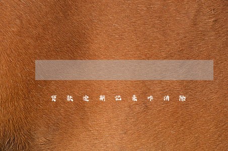 贷款逾期记录咋消除 贷款逾期记录咋消除