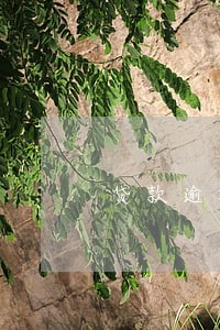 贷款逾期记录多长时间能消除 贷款逾期记录多长时间能消除