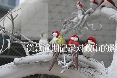 贷款逾期记录对政审的影响 贷款逾期记录对政审的影响