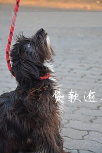 贷款逾期记录怎么投诉 贷款逾期记录怎么投诉