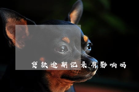 贷款逾期记录有影响吗