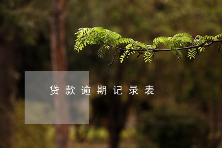 贷款逾期记录表 贷款逾期记录表